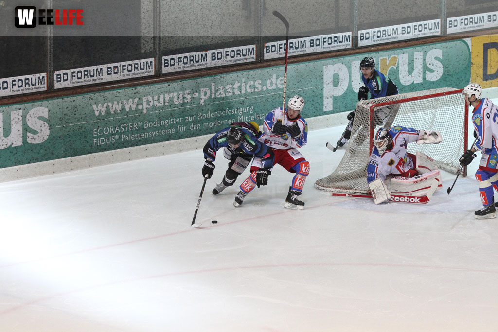 Selber Wölfe - EHC Dortmund