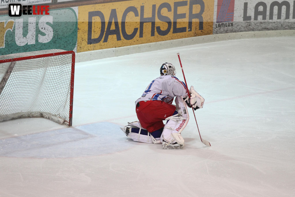 Selber Wölfe - EHC Dortmund