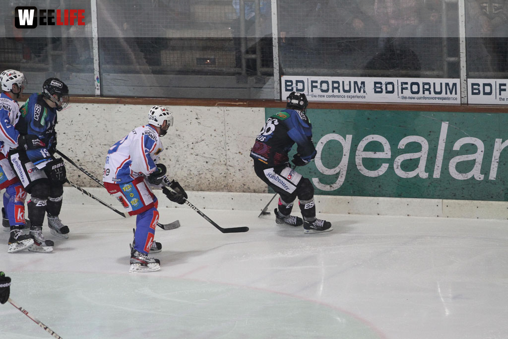 Selber Wölfe - EHC Dortmund