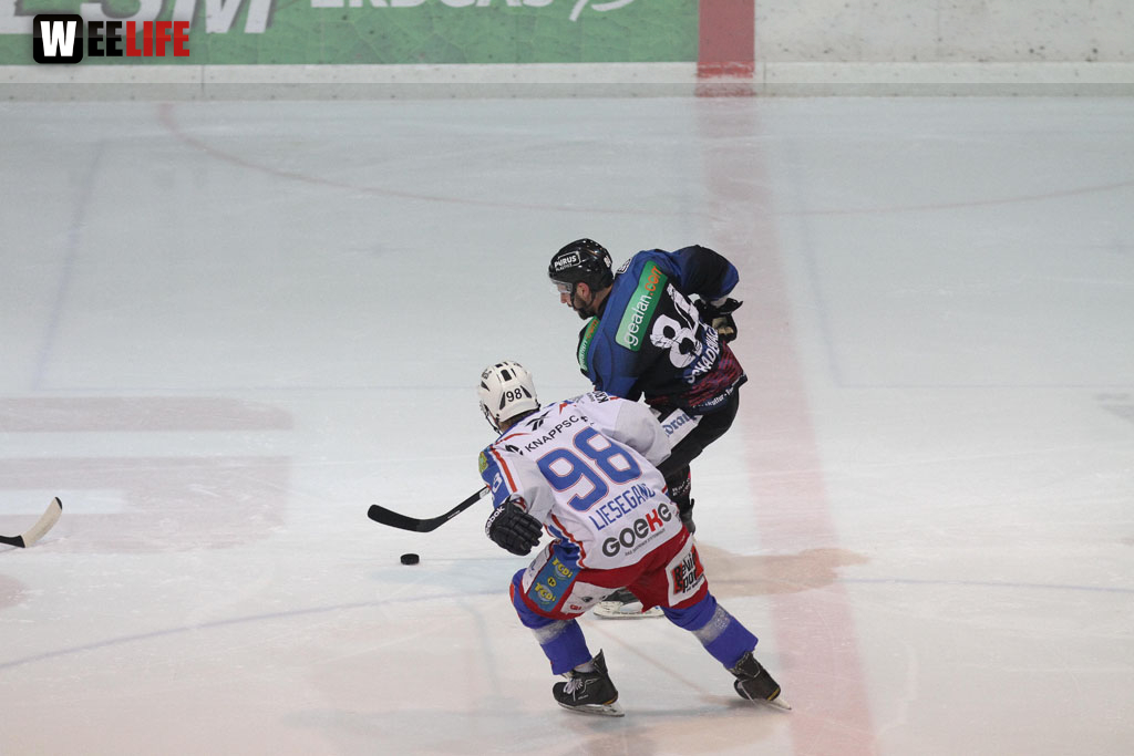 Selber Wölfe - EHC Dortmund