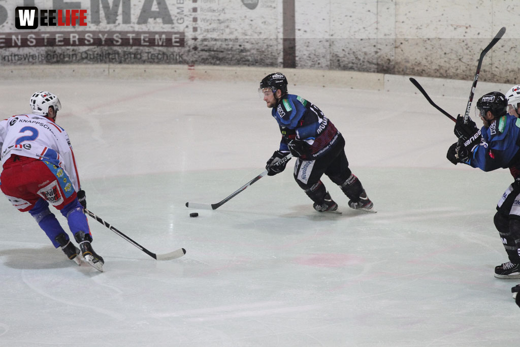 Selber Wölfe - EHC Dortmund