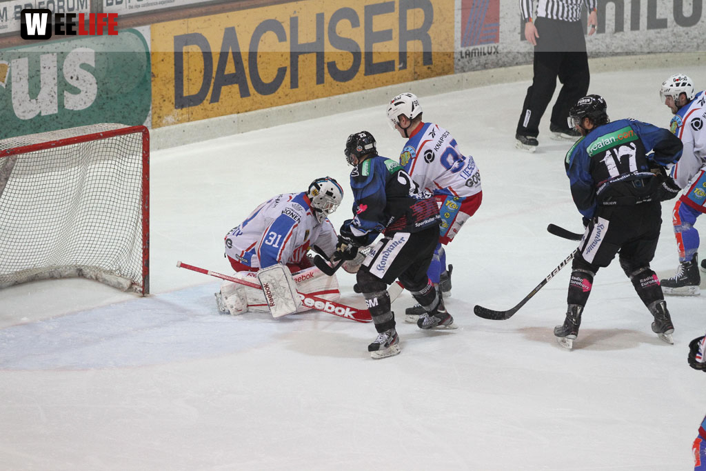 Selber Wölfe - EHC Dortmund