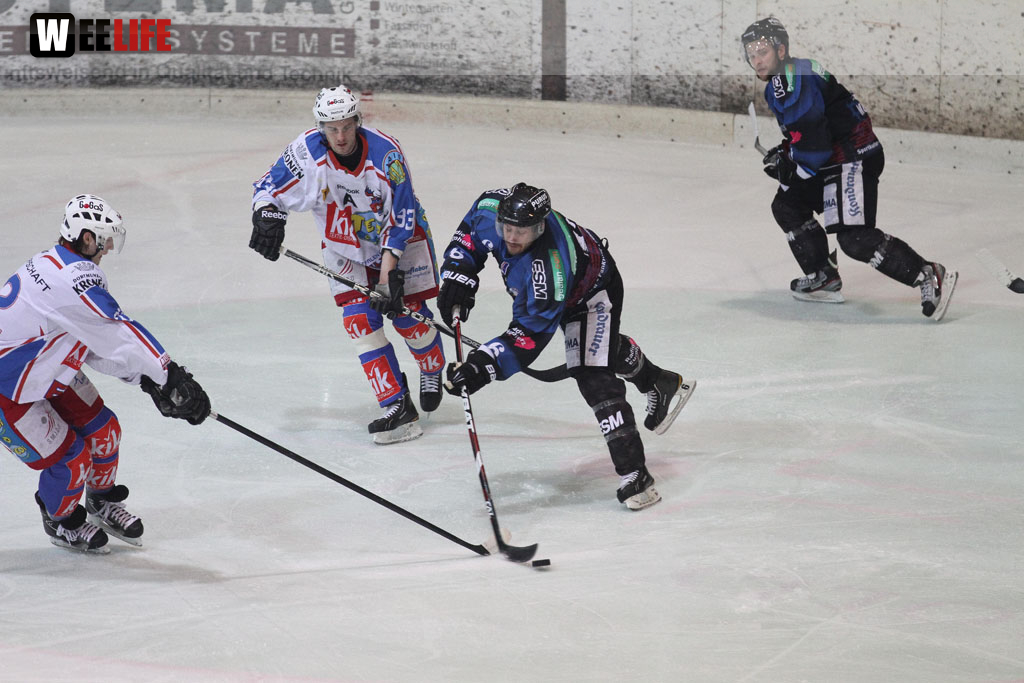Selber Wölfe - EHC Dortmund