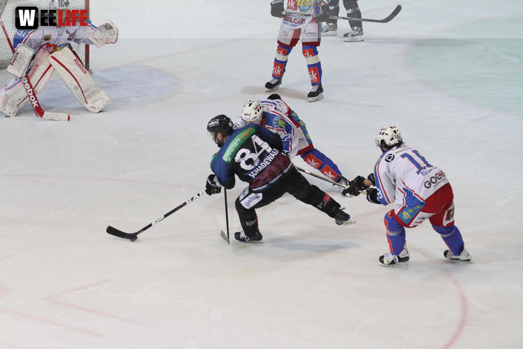 Selber Wölfe - EHC Dortmund