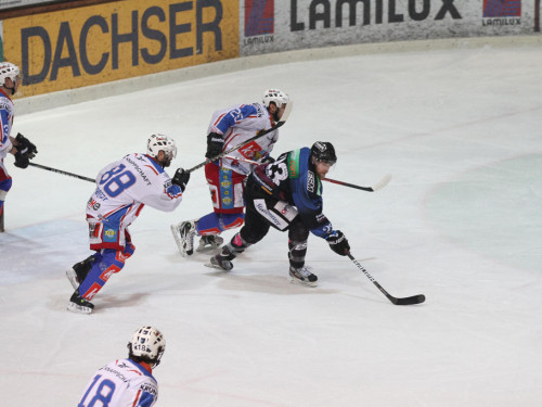 Selber Wölfe - EHC Dortmund – Foto 44