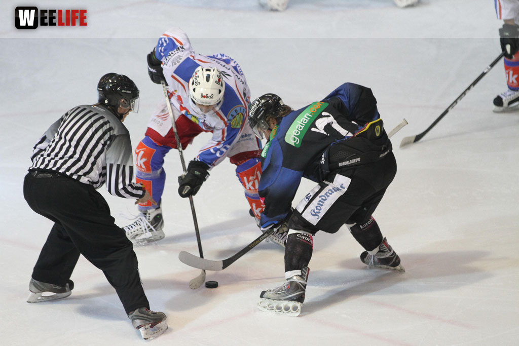 Selber Wölfe - EHC Dortmund
