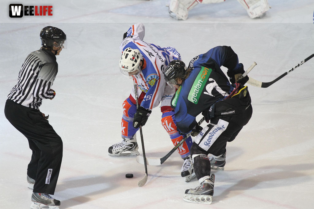 Selber Wölfe - EHC Dortmund