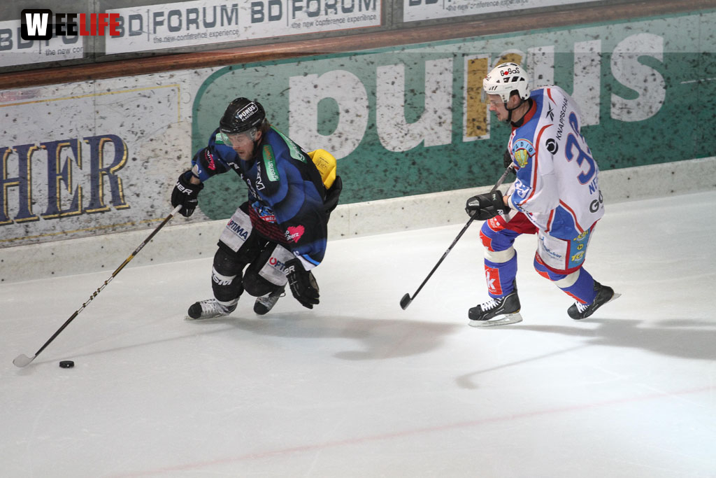 Selber Wölfe - EHC Dortmund