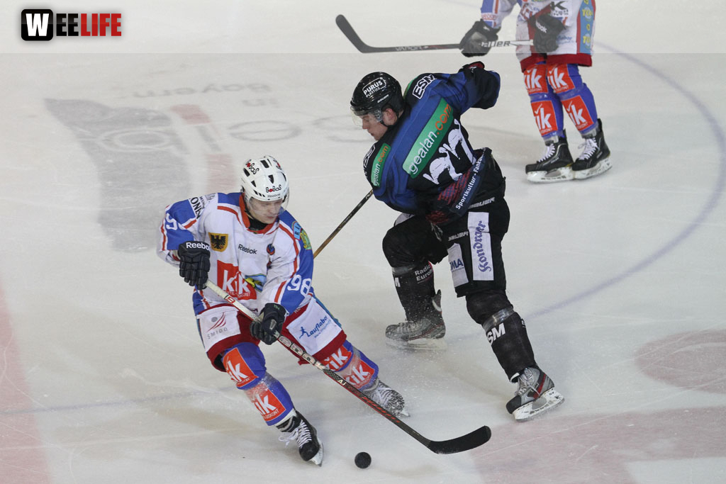 Selber Wölfe - EHC Dortmund
