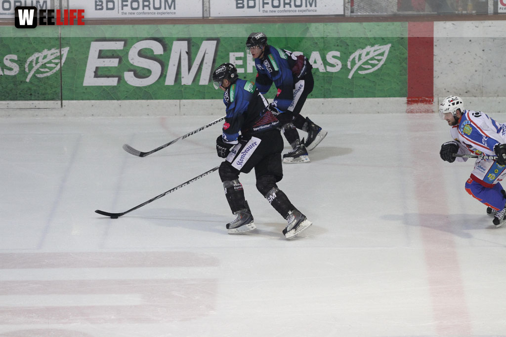 Selber Wölfe - EHC Dortmund