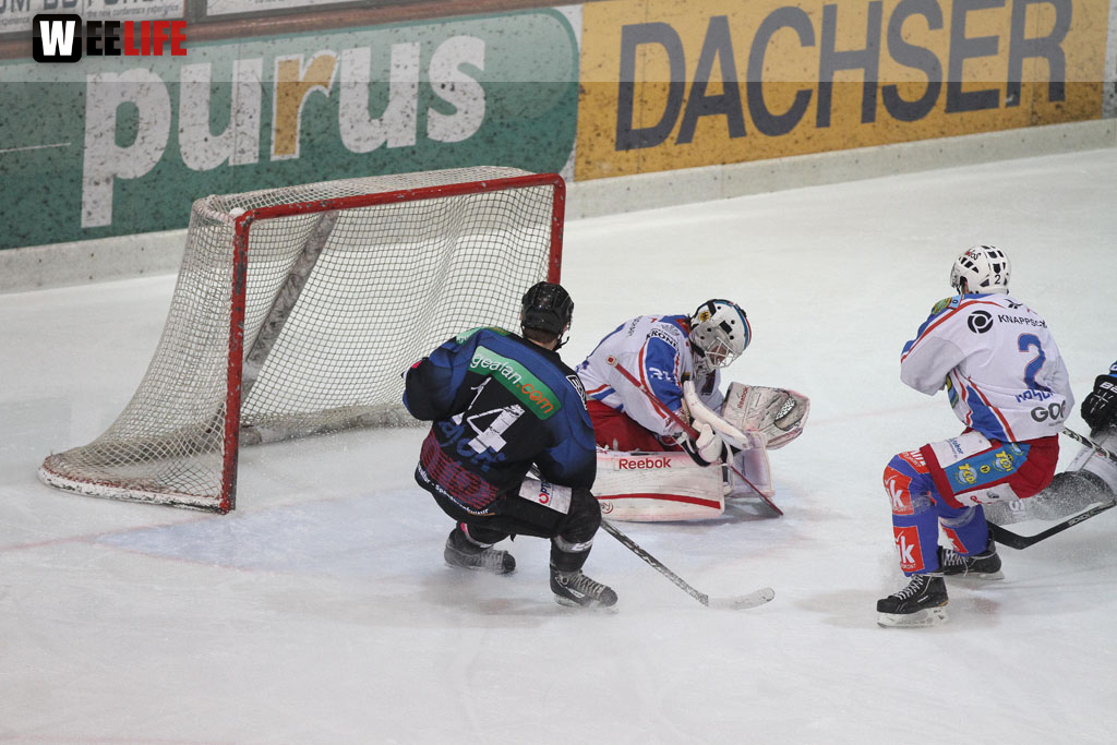 Selber Wölfe - EHC Dortmund
