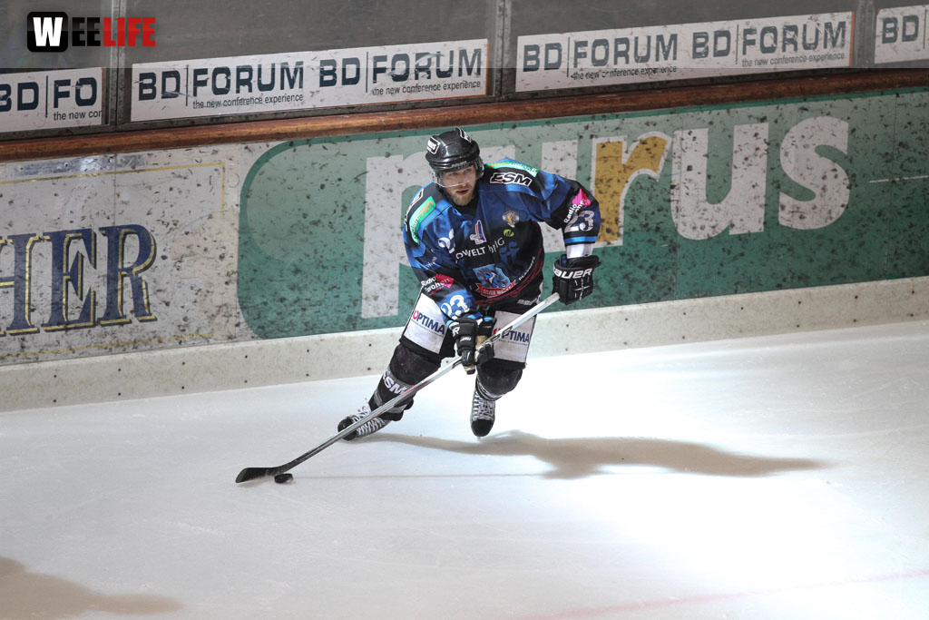 Selber Wölfe - EHC Dortmund