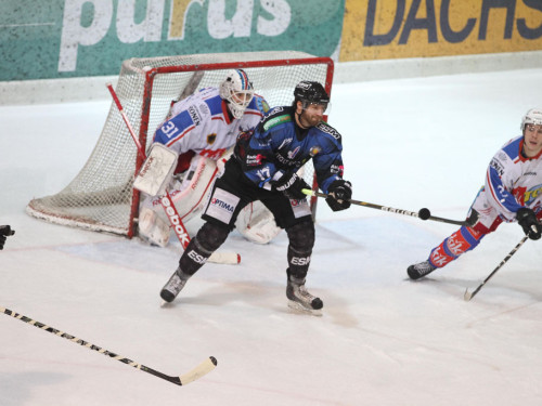 Selber Wölfe - EHC Dortmund – Foto 59