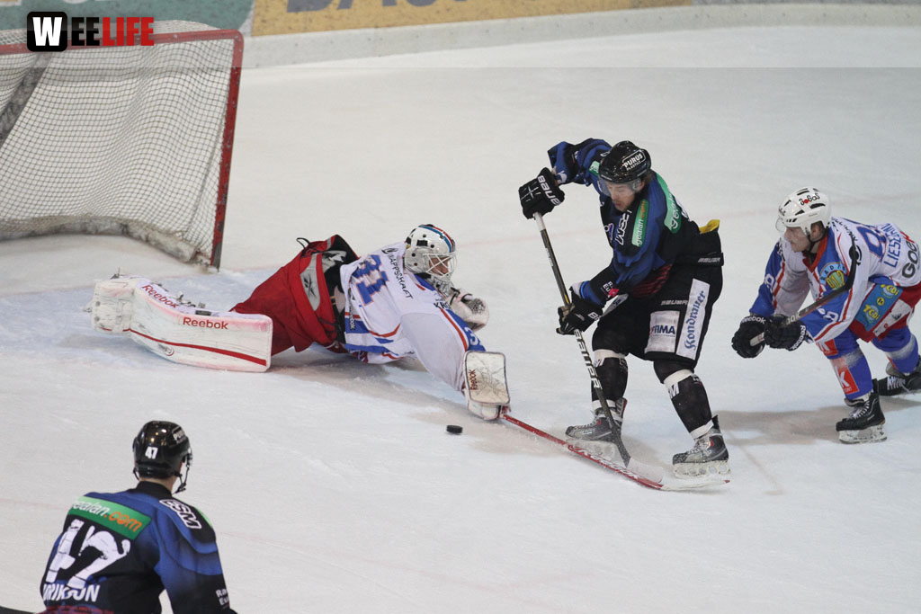 Selber Wölfe - EHC Dortmund