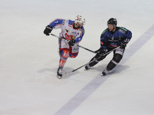 Selber Wölfe - EHC Dortmund – Foto 76