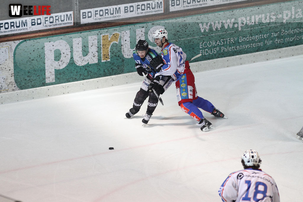 Selber Wölfe - EHC Dortmund