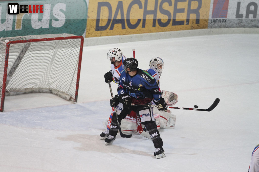 Selber Wölfe - EHC Dortmund