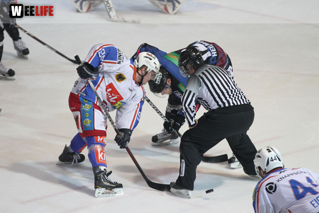 Selber Wölfe - EHC Dortmund