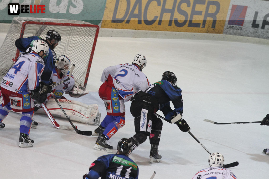 Selber Wölfe - EHC Dortmund