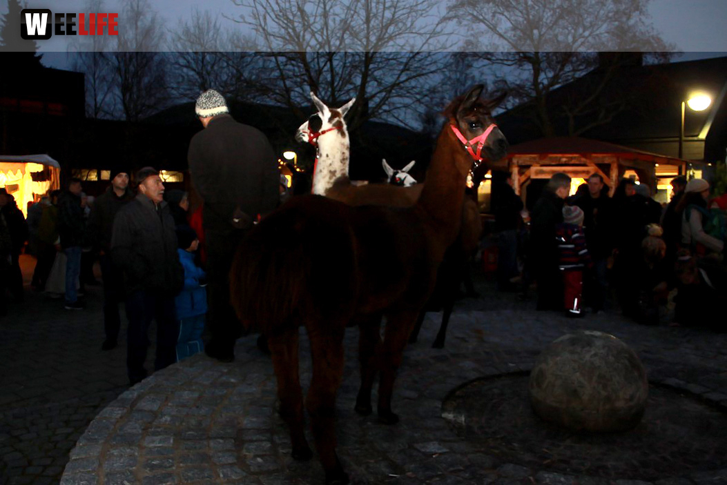 4. Mittelalterlicher Adventsmarkt