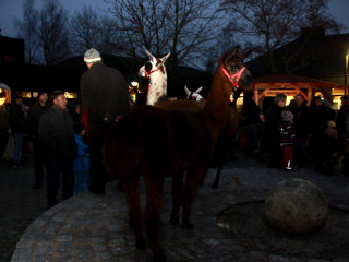 Foto 114246 im Album