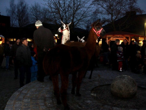 4. Mittelalterlicher Adventsmarkt – Foto 3