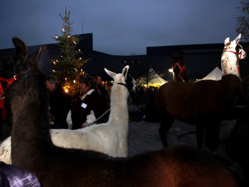 4. Mittelalterlicher Adventsmarkt – Foto 5