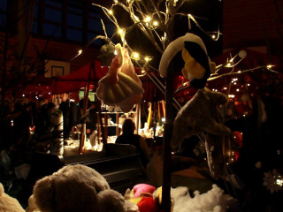 Foto 114268 im Album