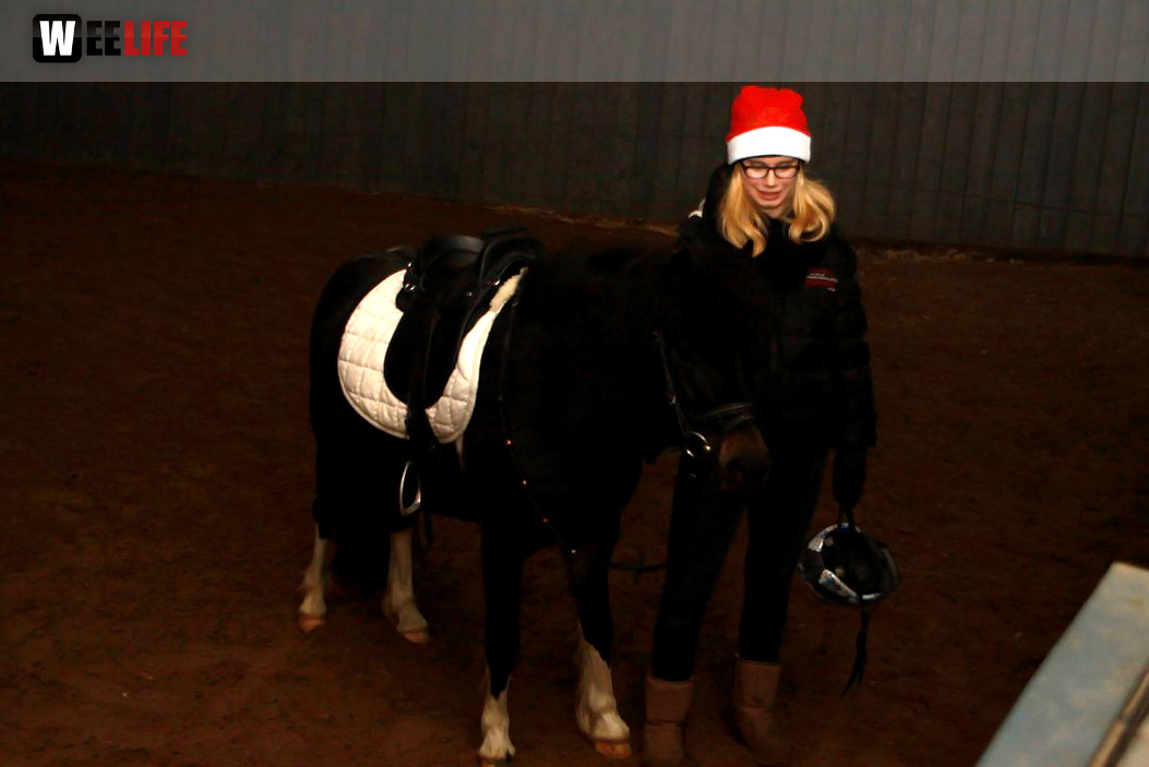 Ländliche Stallweihnacht