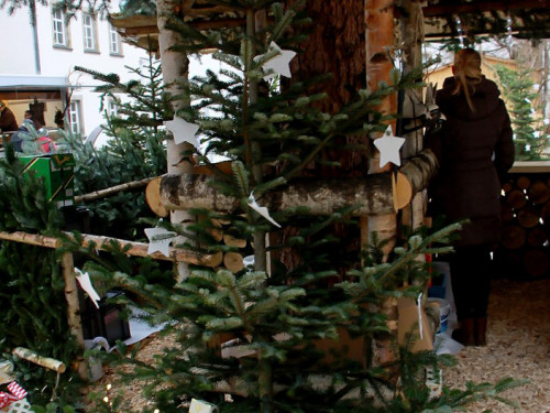 Forstlicher Weihnachtsmarkt – Foto 33