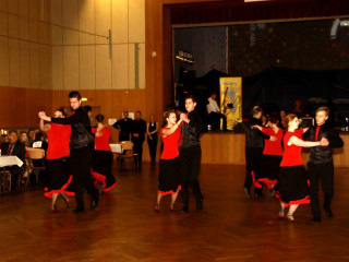 Foto 115348 im Album
