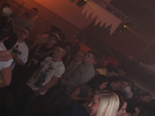 Bunny Palace – Foto 9