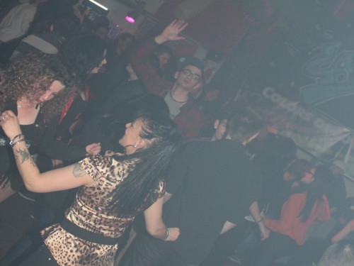 Bunny Palace – Foto 37