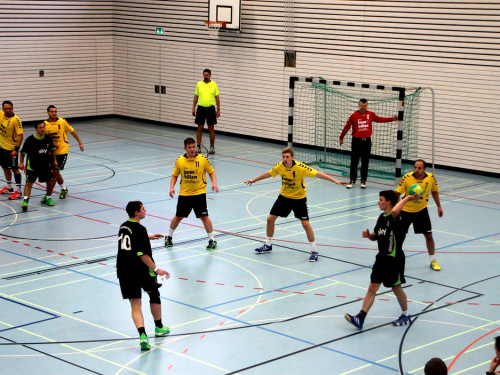 Handball Männer TSV Hof gegen TS Schwarzenbach – Foto 23