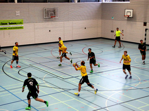 Handball Männer TSV Hof gegen TS Schwarzenbach – Foto 38