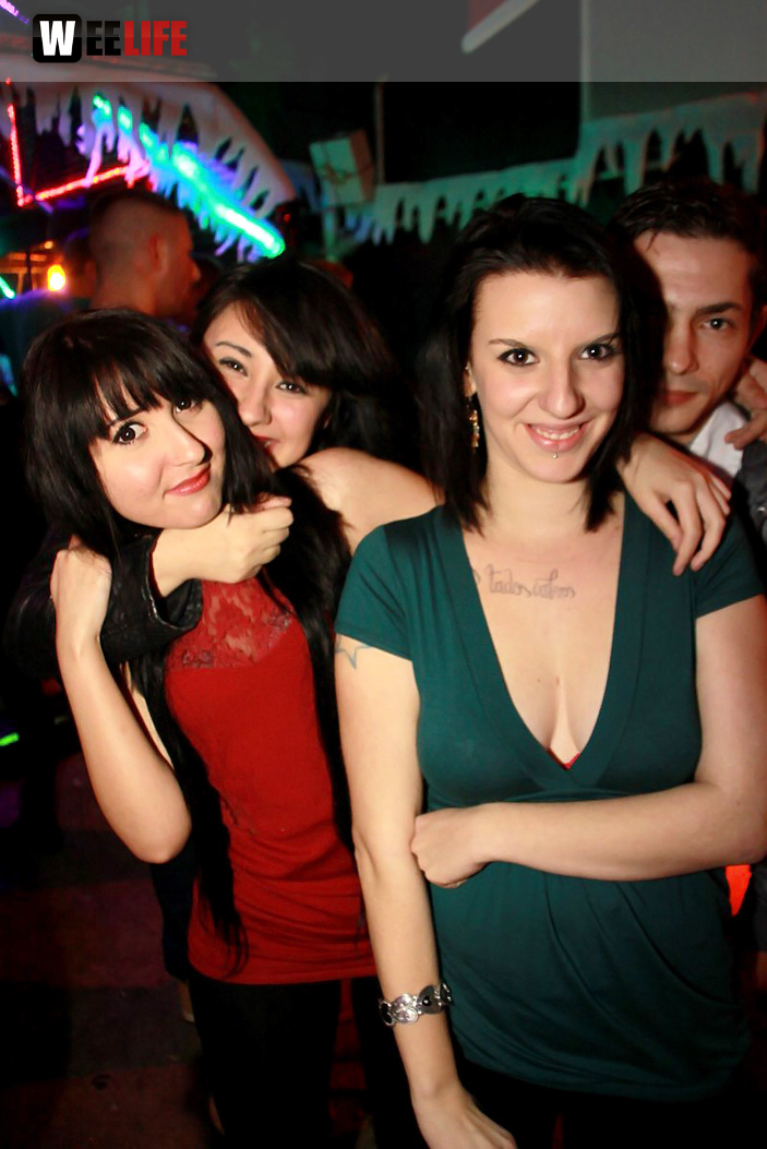 Ding-Dong Party