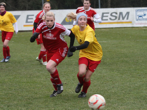 FC Selb - SpVgg Dietersdorf – Foto 15