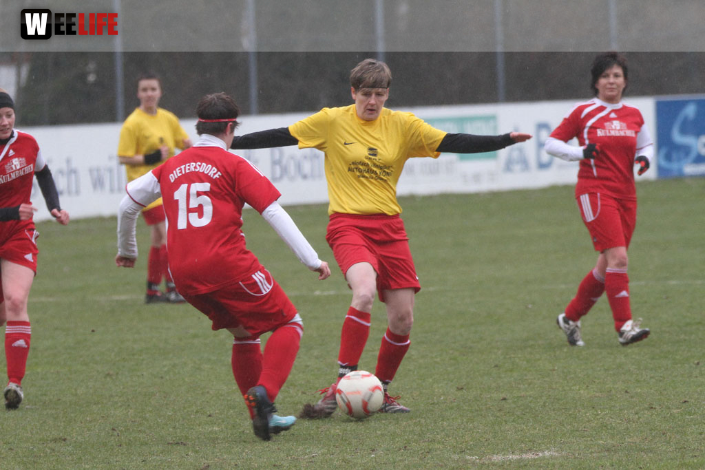FC Selb - SpVgg Dietersdorf