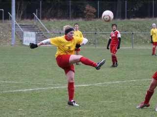 Foto 12100 im Album