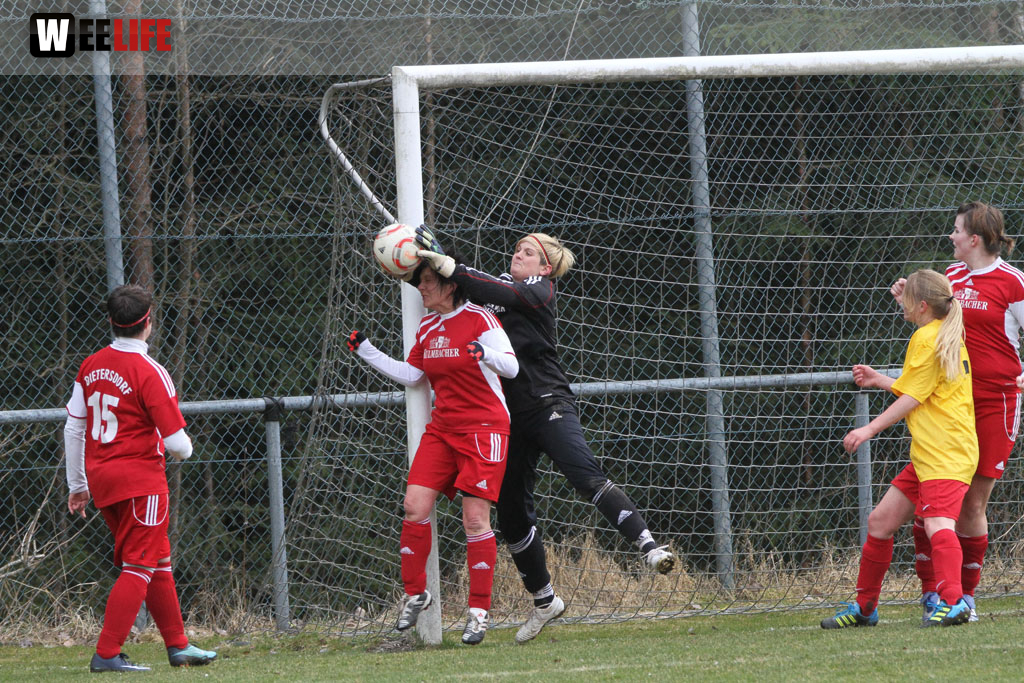 FC Selb - SpVgg Dietersdorf