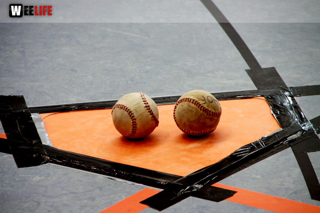 1. Hofer Indoor Baseball Tunier Frankensteiners