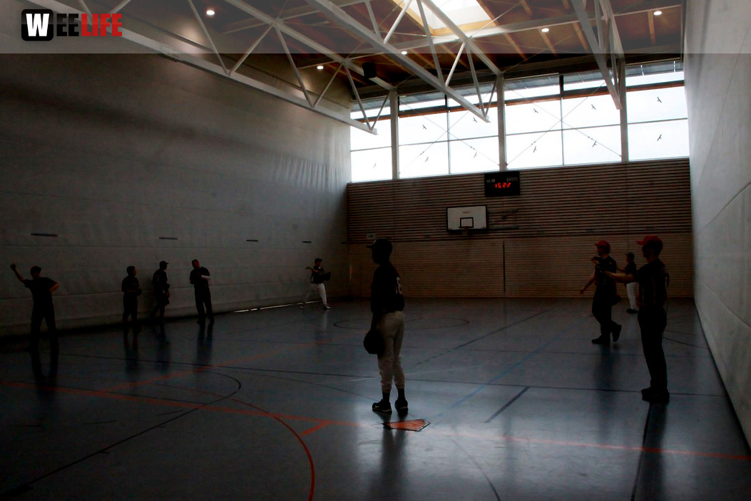 1. Hofer Indoor Baseball Tunier Frankensteiners