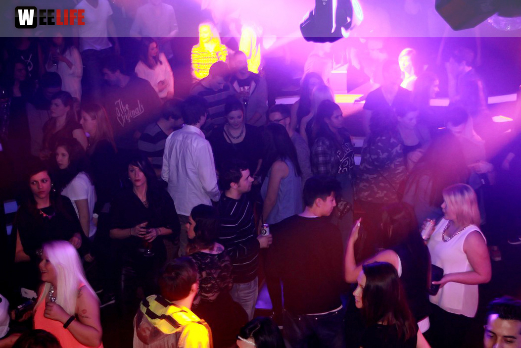 The Big Black Theory Pro Zeiko Baby Brown DJ Cemal