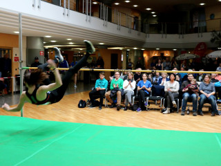 Foto 123871 im Album