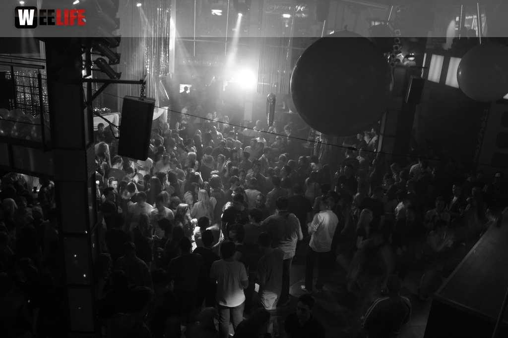 Halifax Celebrate 7 Years