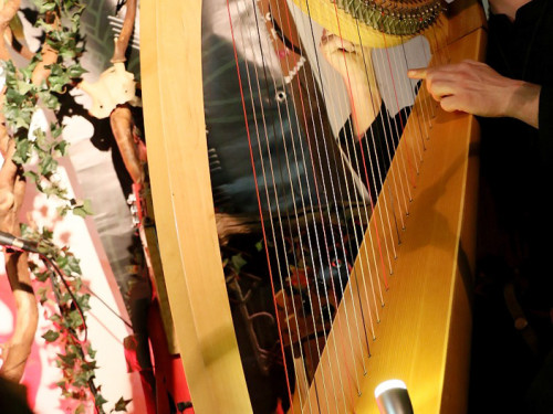 Konzert Dunkelschön Folkclub Isaar – Foto 19