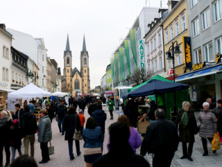 Vorschau des vorherigen Fotos