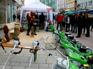 Foto 125839 im Album