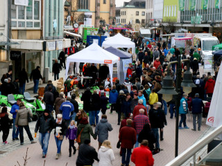 Foto 125840 im Album