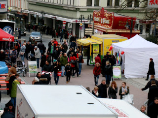 Foto 125845 im Album